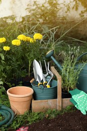Photo of Beautiful flowers and gardening tools on soil at backyard