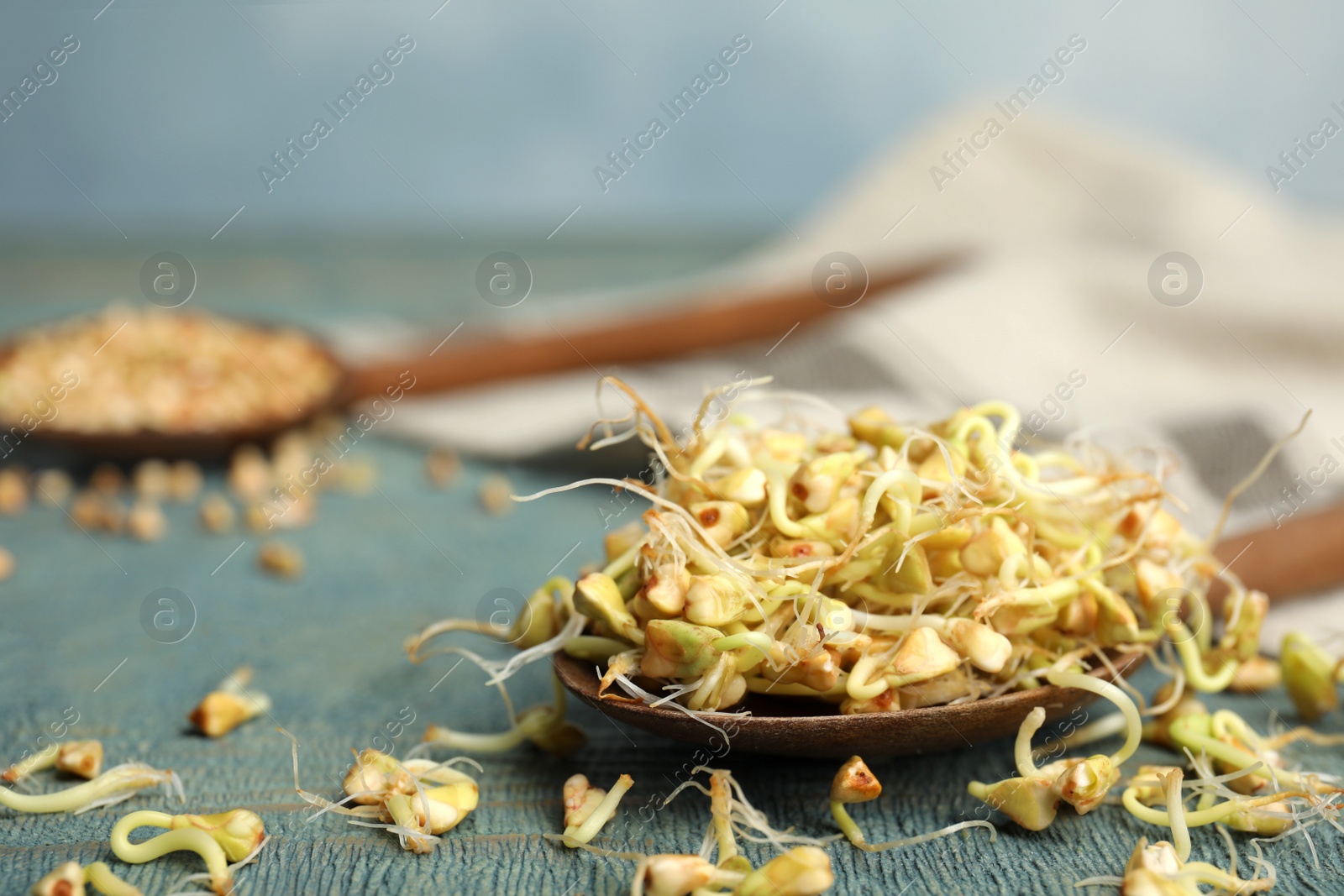 Photo of Spoon of sprouted green buckwheat on blue wooden table, closeup