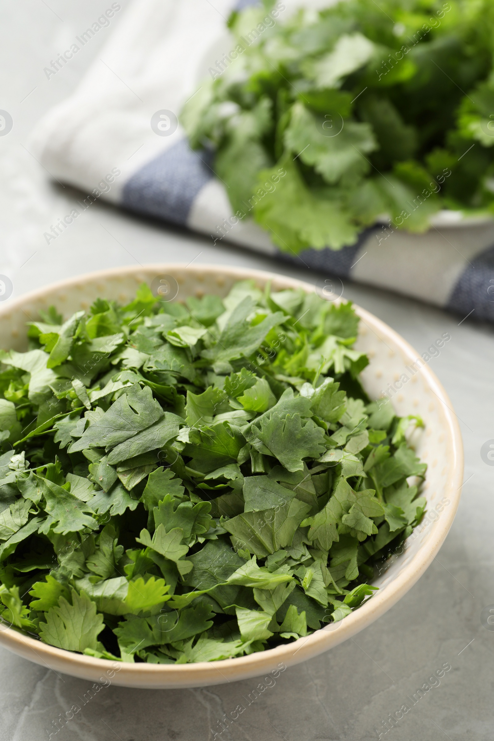 Photo of Cut fresh green cilantro in bowl on light grey marble table, closeup