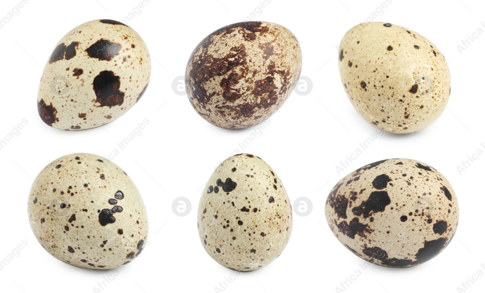 Image of Set with quail eggs on white background