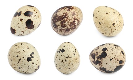 Image of Set with quail eggs on white background