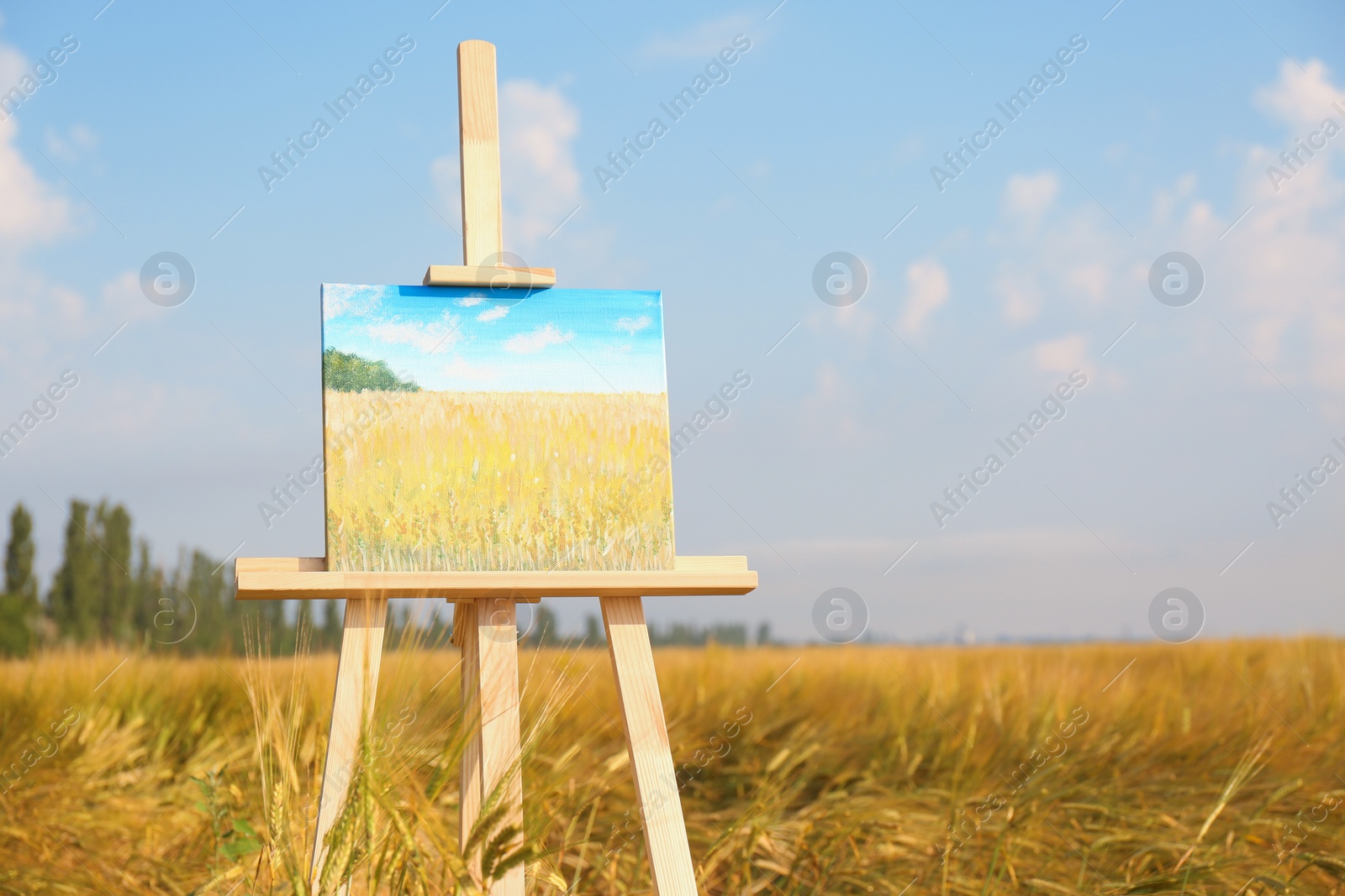 Photo of Wooden easel with beautiful picture in field. Space for text