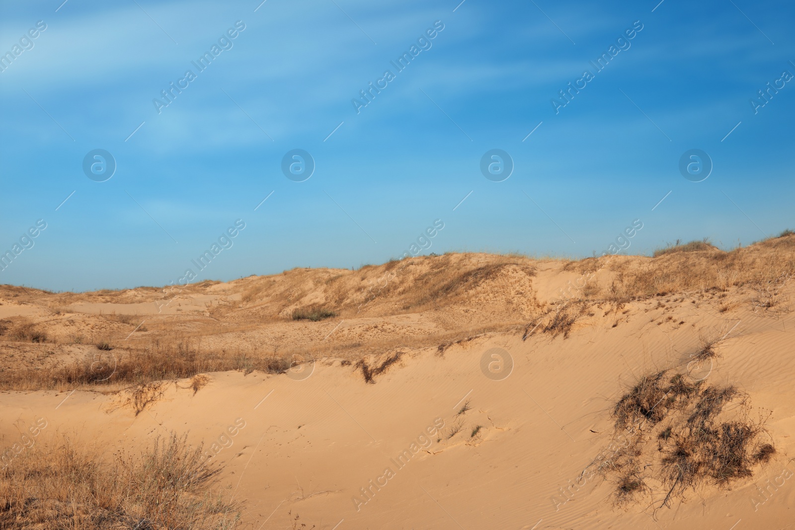 Photo of Picturesque view of desert on sunny day