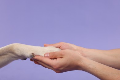 Dog giving paw to man on purple background, closeup