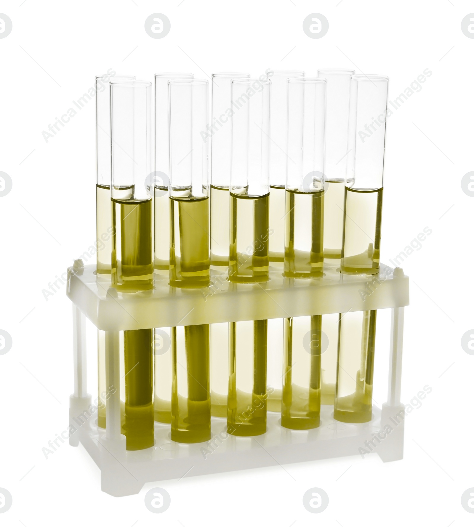 Image of Test tubes with yellow liquid in rack isolated on white