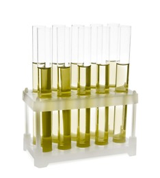 Image of Test tubes with yellow liquid in rack isolated on white