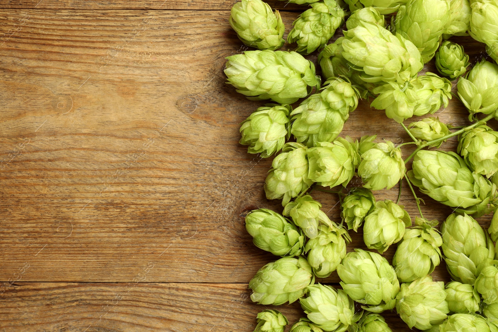 Photo of Fresh green hops on wooden table, top view. Space for text