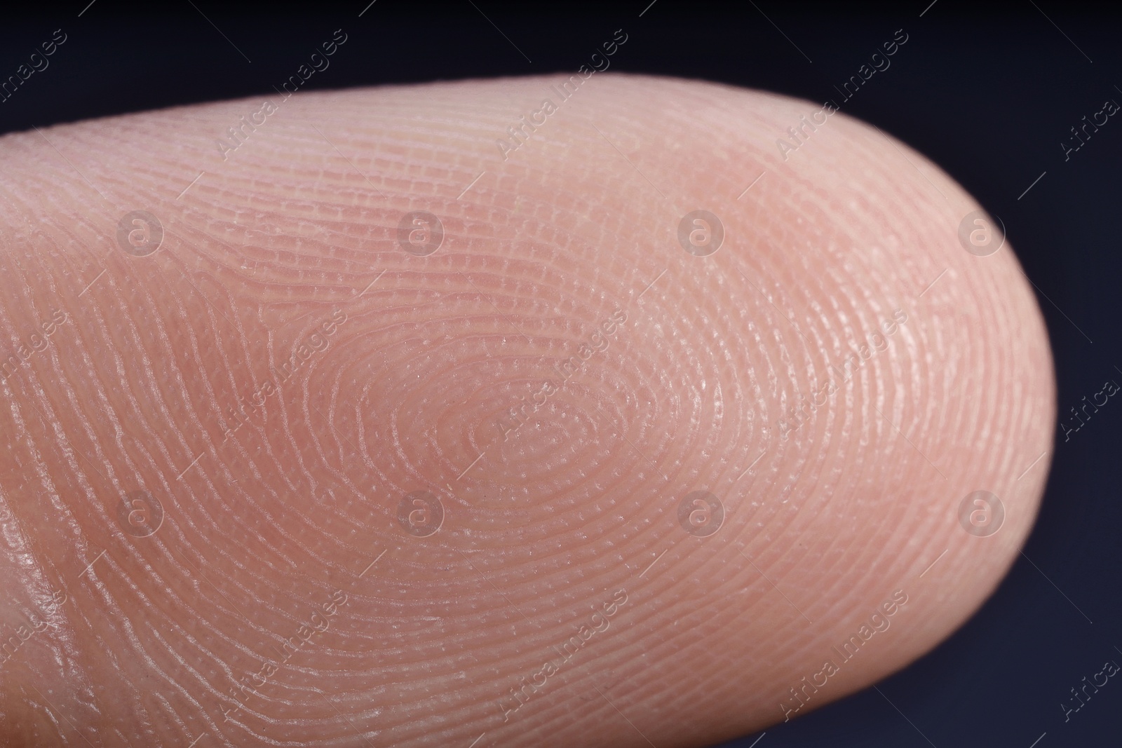 Photo of Finger with friction ridges on dark background, macro view