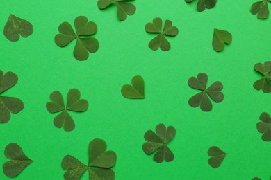 Composition with clover on green background, flat lay