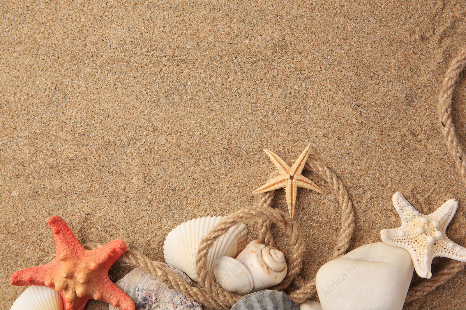 Photo of Beautiful sea stars, shells and rope on sand, flat lay. Space for text