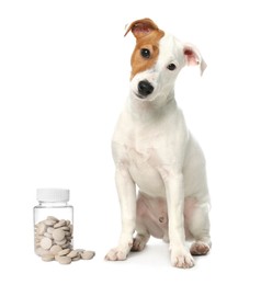 Image of Vitamins for pets. Cute dog and bottle with pills on white background