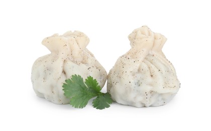 Photo of Two tasty khinkali (dumplings) and spices isolated on white. Georgian cuisine