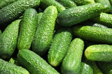 Photo of Ripe fresh cucumbers as background