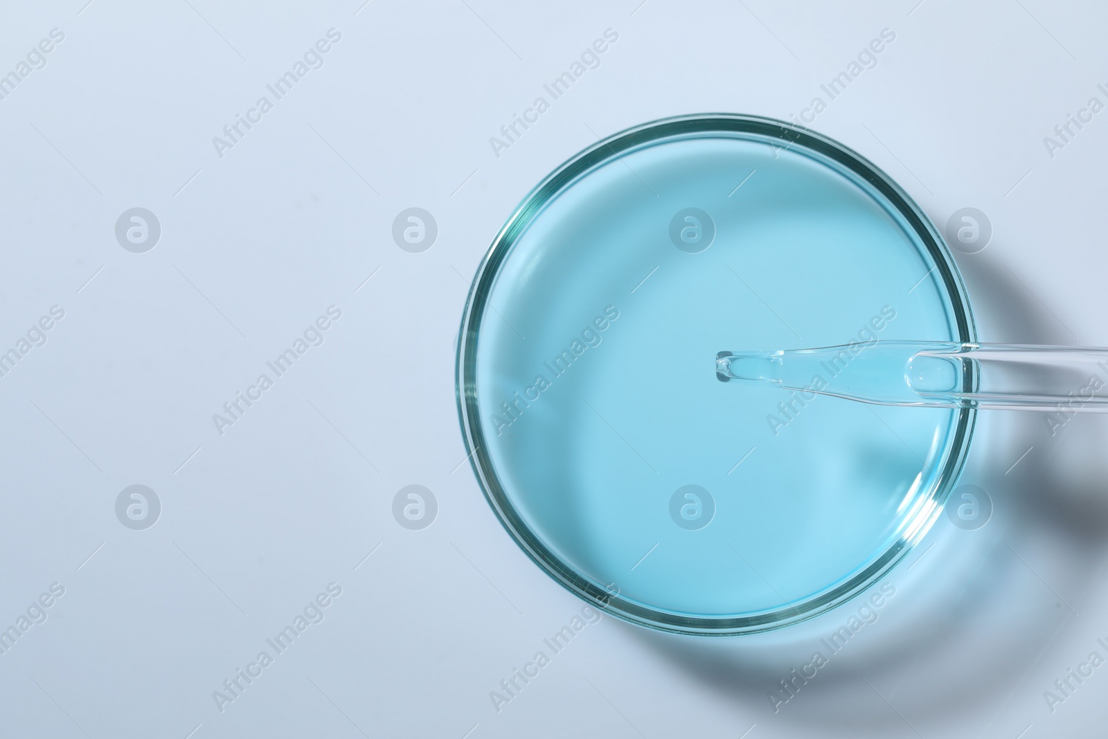 Photo of Dripping liquid from pipette into petri dish at white table, top view. Space for text