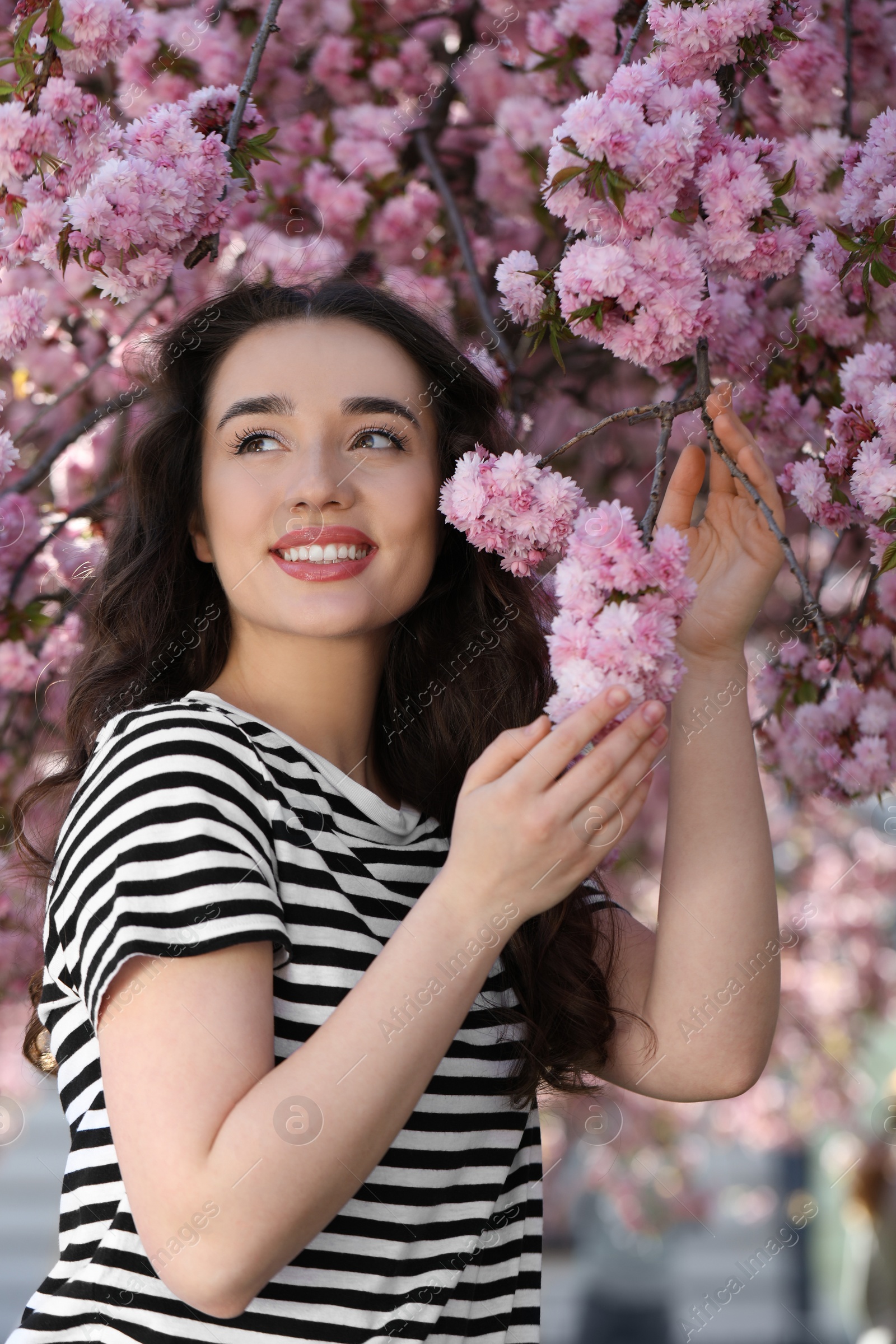 Photo of Beautiful woman near blossoming sakura tree on spring day