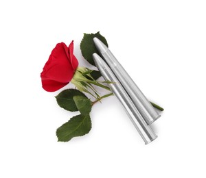 Photo of Bullets and red rose isolated on white, top view