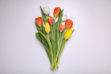 Beautiful colorful tulip flowers on white background, flat lay