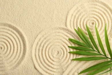Photo of Zen rock garden. Circle patterns and green leaf on beige sand, top view