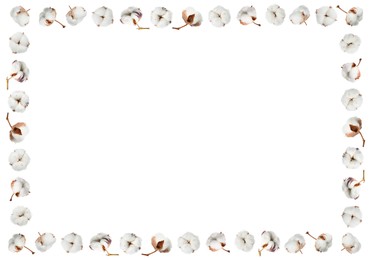 Image of Frame made of fluffy cotton flowers on white background