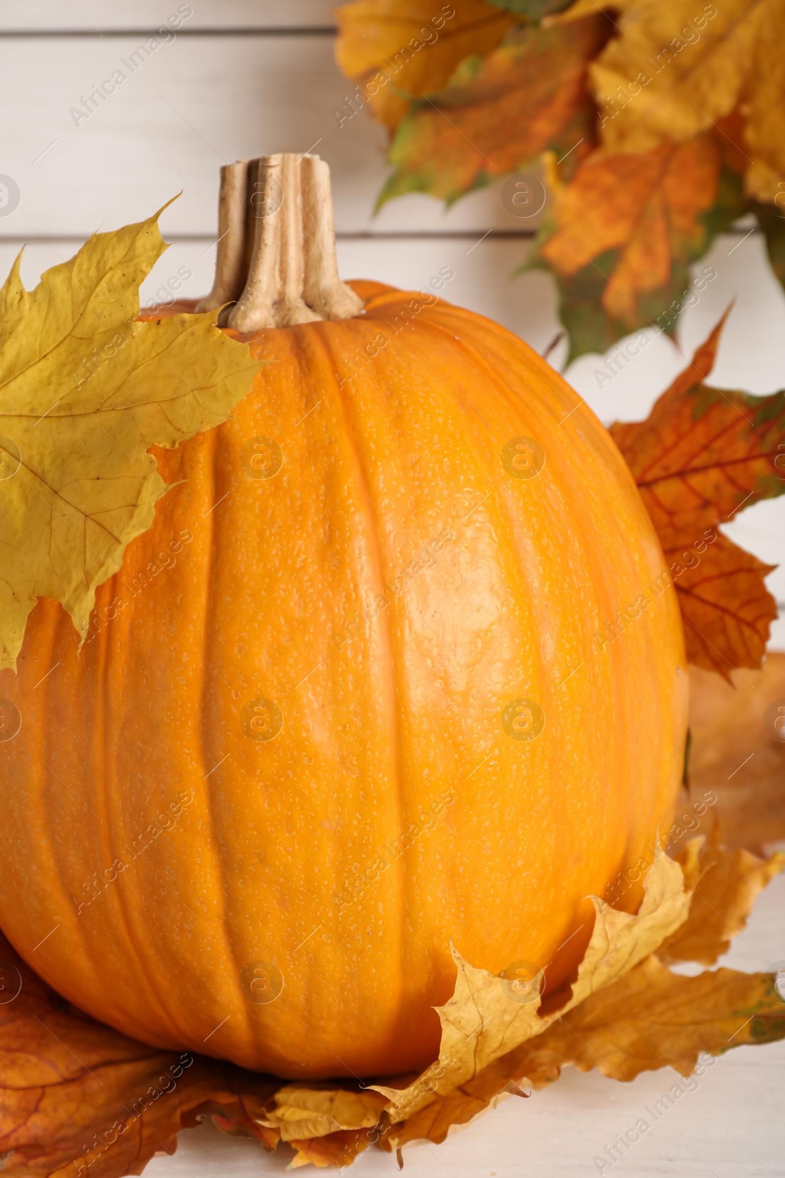 Photo of Fresh ripe pumpkin and dry leaves on white table, closeup