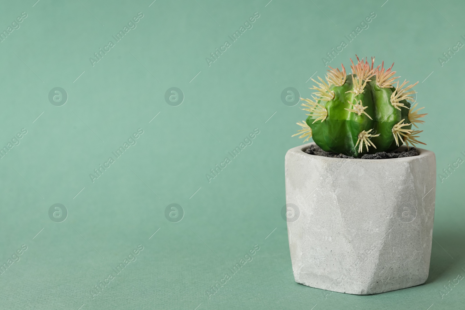 Photo of Beautiful artificial plant in flower pot on color background, space for text