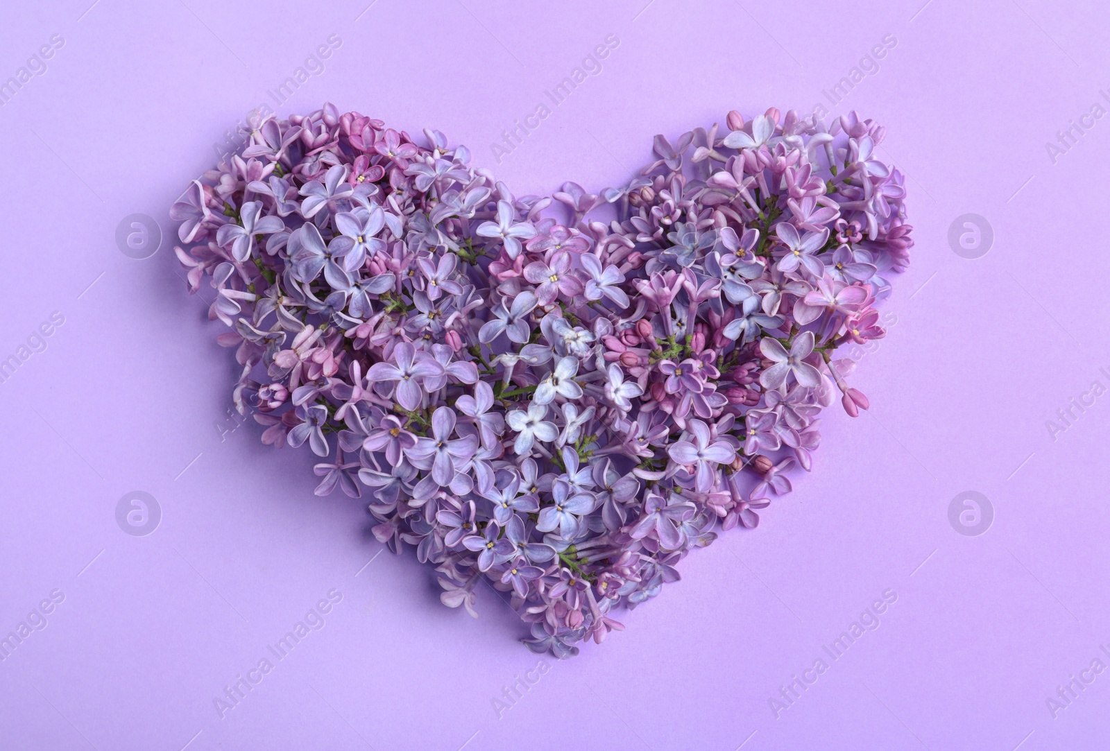 Photo of Heart made of blossoming lilac on color background, flat lay. Spring flowers