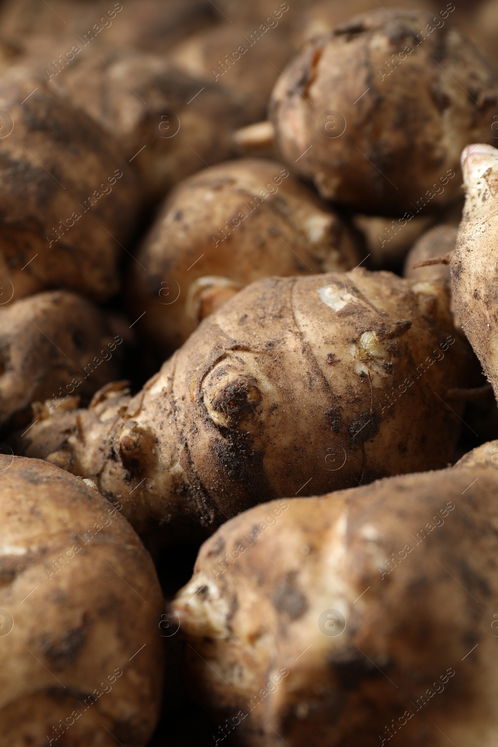 Photo of Many fresh Jerusalem artichokes as background, closeup