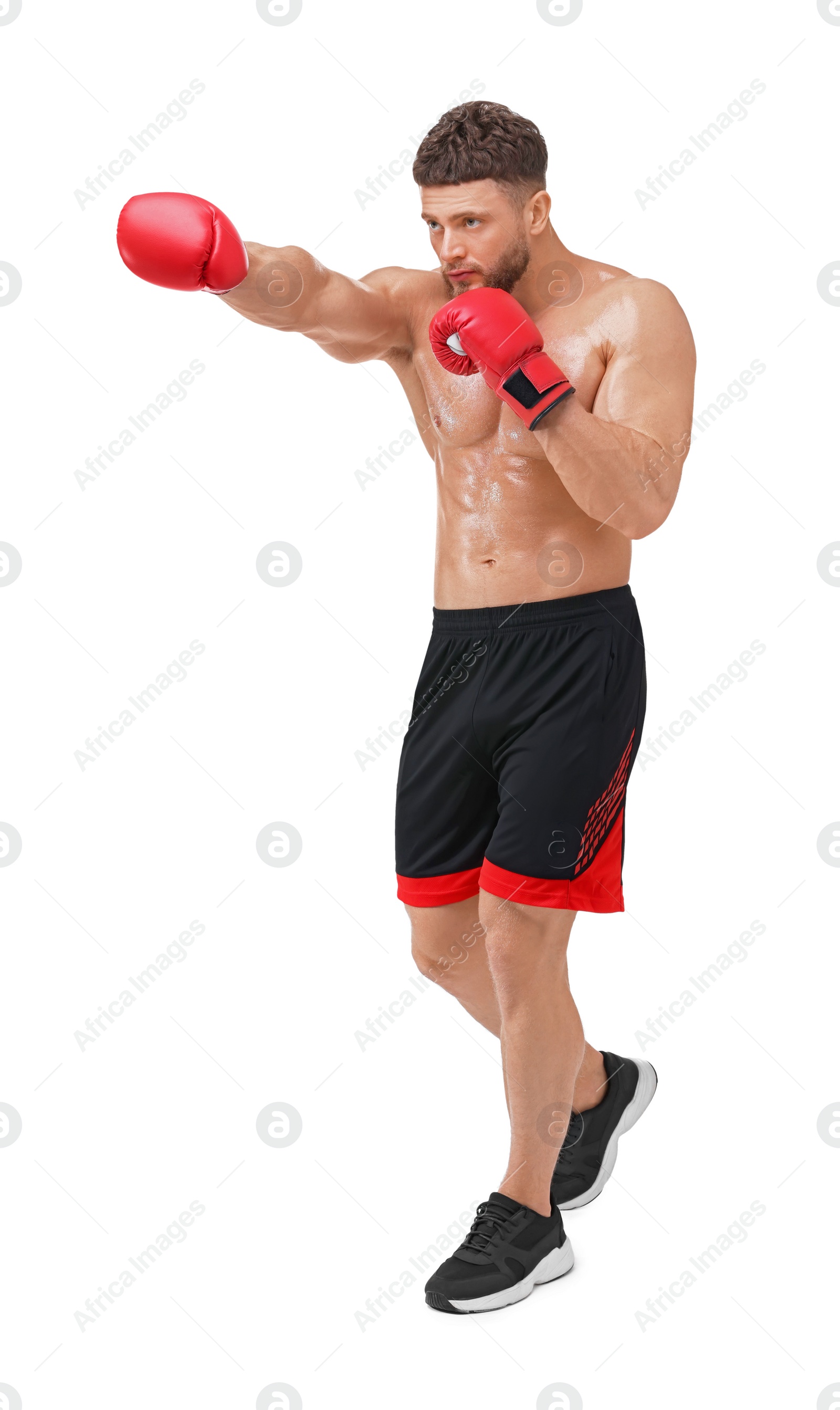 Photo of Man in boxing gloves fighting on white background