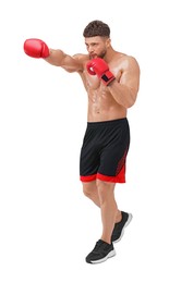 Photo of Man in boxing gloves fighting on white background