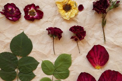 Photo of Paper with beautiful flowers, leaves and petals prepared for drying, flat lay