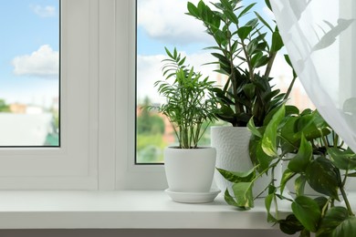 Photo of Different potted houseplants on windowsill indoors, space for text