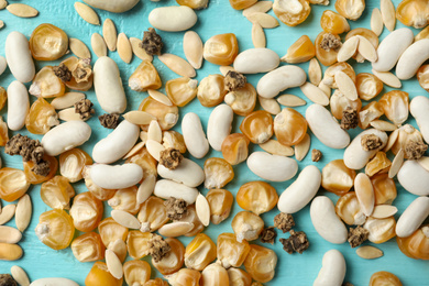 Photo of Mixed vegetable seeds on light blue wooden background, flat lay