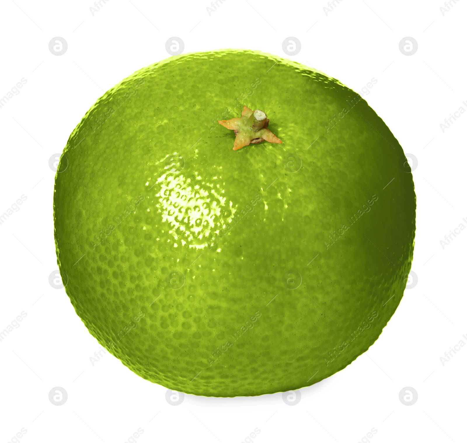 Green tangerine isolated on white. Citrus fruit Image of Green tangerine isolated on white. Citrus fruit