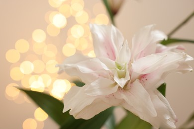 Photo of Beautiful lily flower against beige background with blurred lights, closeup