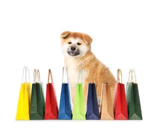 Image of Cute Akita Inu puppy and colorful paper shopping bags on white background