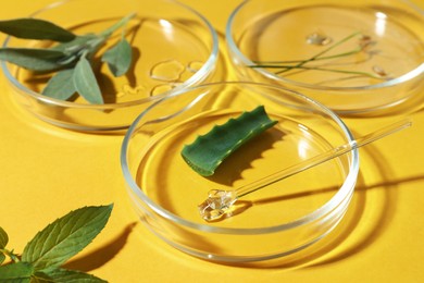 Photo of Petri dish and plants on yellow background