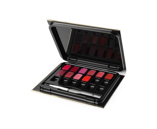 Photo of Colorful lip palette with brush isolated on white. Professional cosmetic product