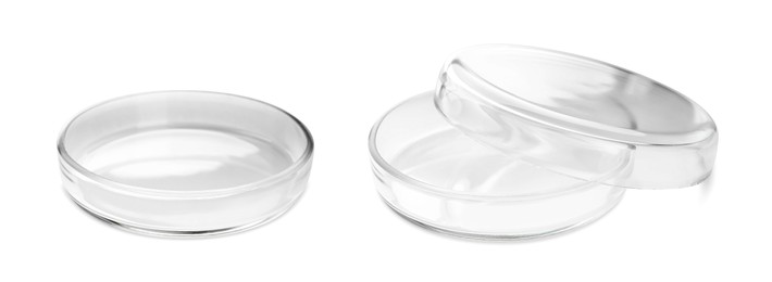 Image of Empty Petri dishes isolated on white. Laboratory glassware