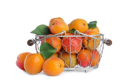Photo of Delicious ripe apricots in metal basket isolated on white
