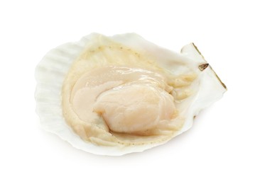 Photo of Fresh raw scallop in shell isolated on white
