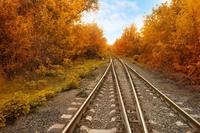 Image of Beautiful view of autumn forest crossed by railway