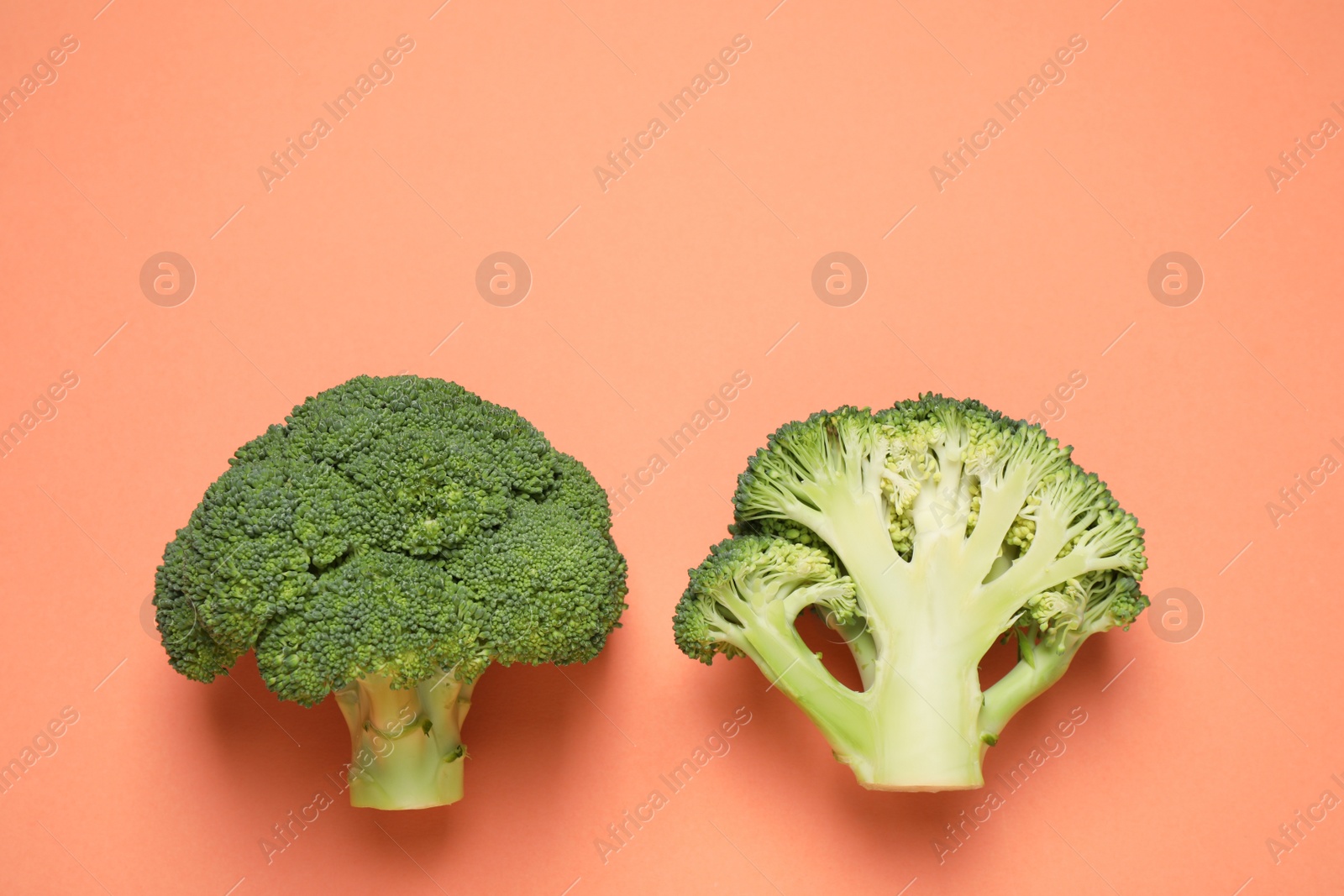 Photo of Fresh tasty broccoli on peach background, flat lay. Space for text