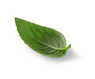 Photo of Fresh green basil leaf isolated on white