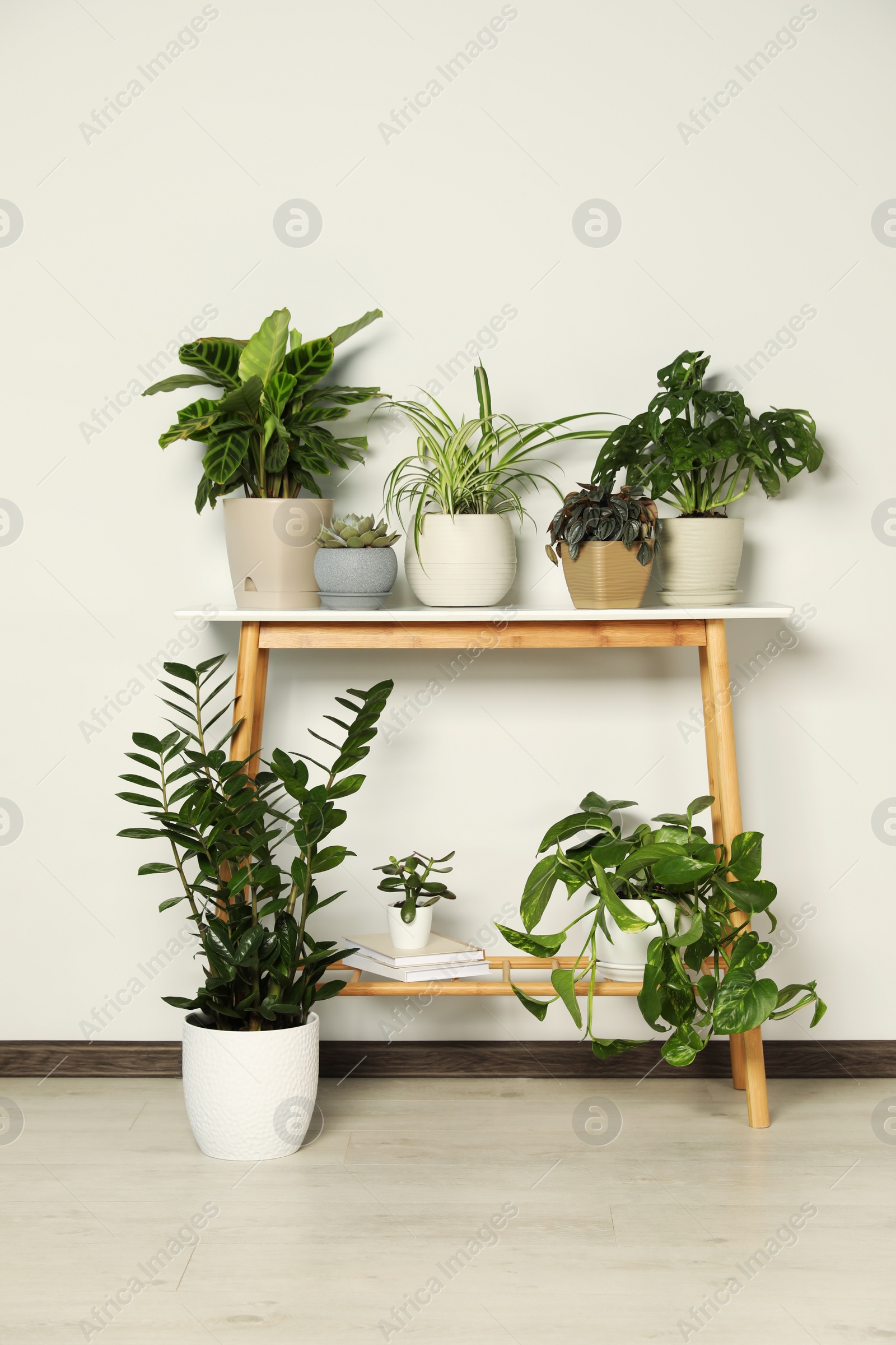 Photo of Wooden table and beautiful houseplants near light wall