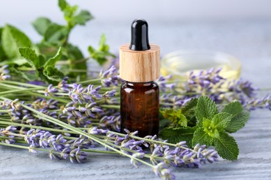 Photo of Bottle of essential oil, lavender and mint on grey wooden table