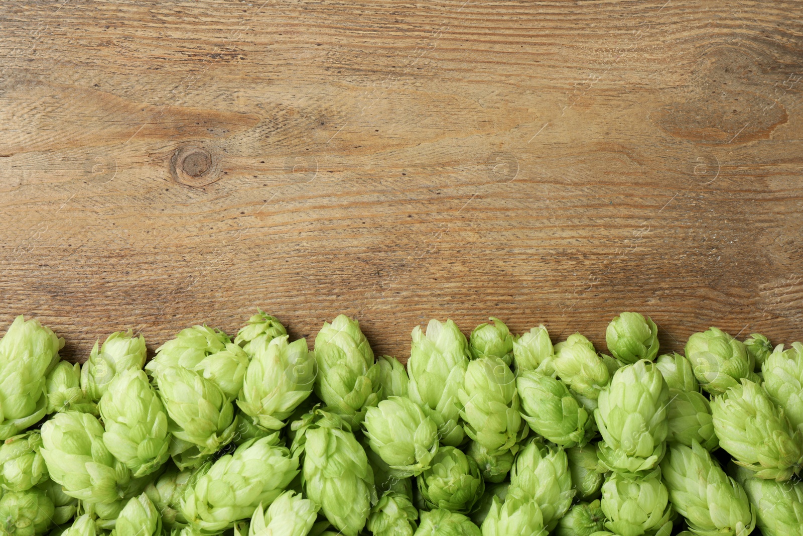 Photo of Fresh green hops on wooden table, top view. Space for text