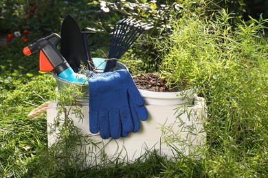 Wooden crate with gardening gloves, tools and potted plant on grass outdoors