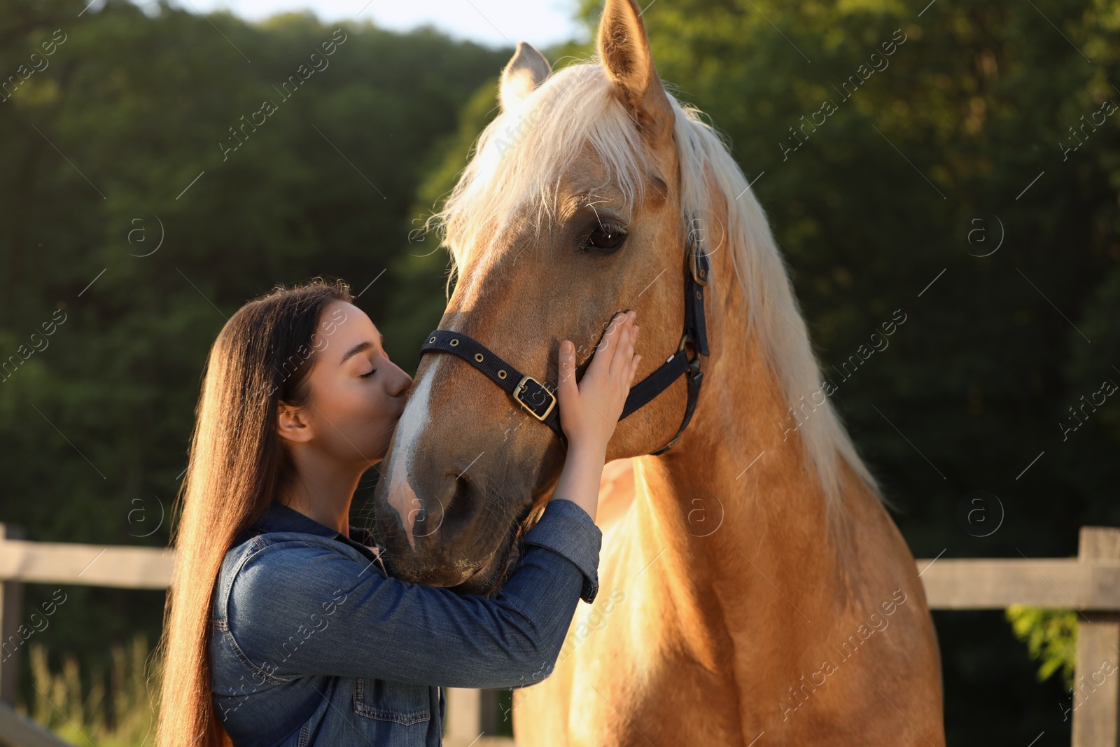 Photo of Beautiful woman with adorable horse outdoors. Lovely domesticated pet