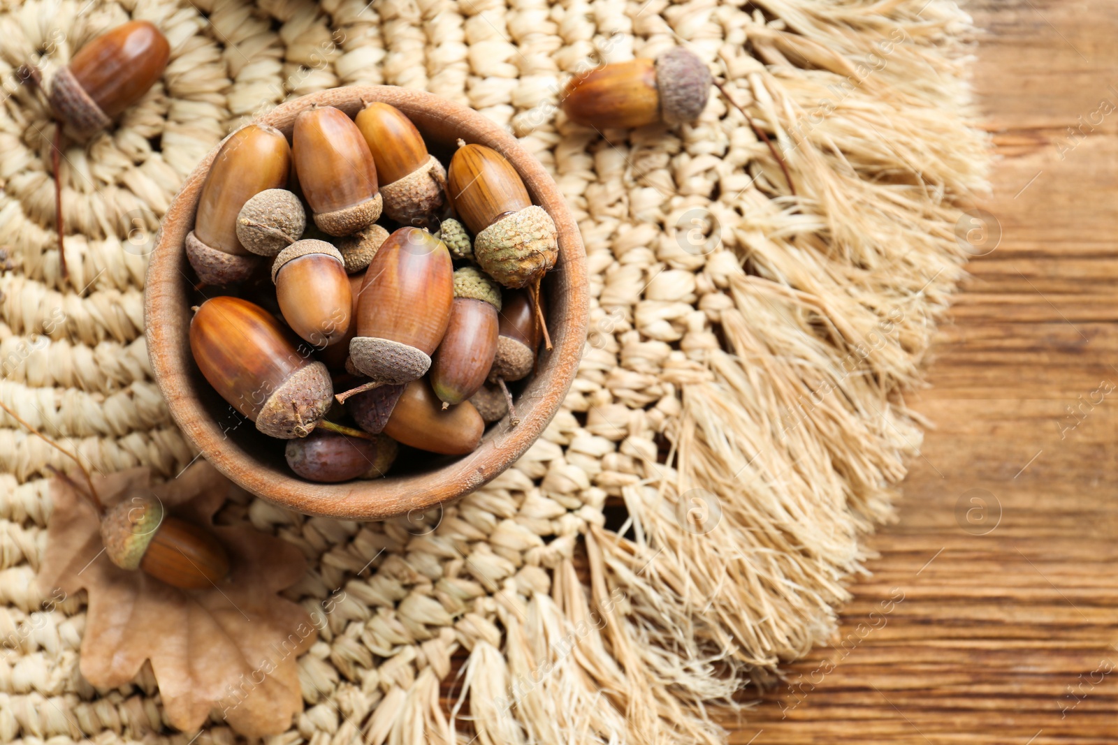 Photo of Acorns on wooden table, flat lay. Space for text