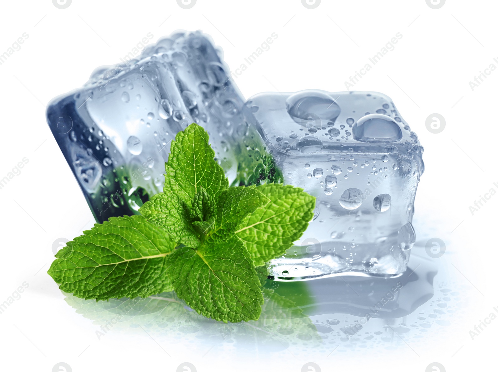 Image of Green mint and ice cubes isolated on white